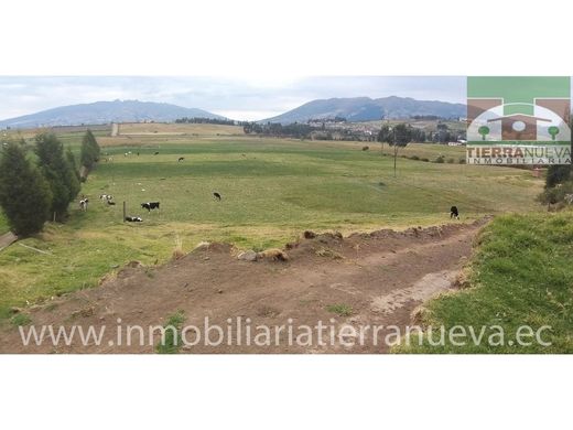 Gutshaus oder Landhaus in Cayambe, Cantón Cayambe