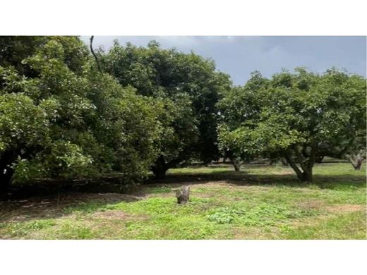 ‏קרקע ב  קיטו, Cantón Quito