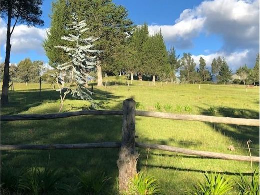 Grond in Checa, Cantón Quito