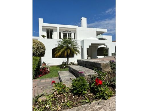 ‏בתי יוקרה ב  קיטו, Cantón Quito