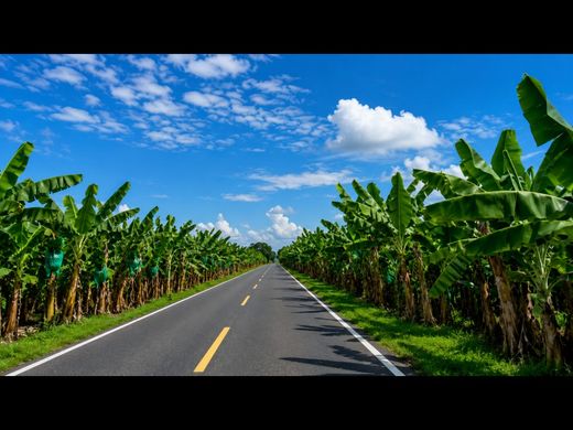 Land in Vinces, Cantón Vinces