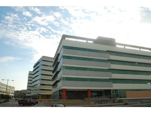 Ofis Guayaquil, Cantón Guayaquil