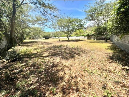 Land in Quito, Cantón Quito