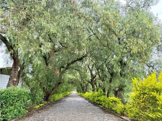 Land in Quito, Cantón Quito