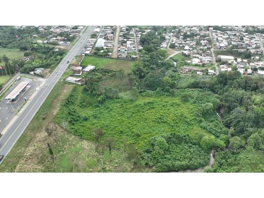 Terreno - Santo Domingo de los Colorados, Cantón Santo Domingo de los Colorados