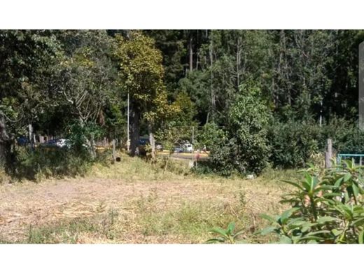 ‏קרקע ב  קיטו, Cantón Quito