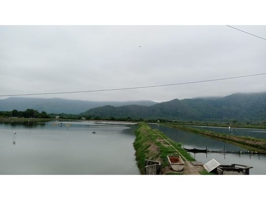 Terrain à Guayas, Cantón El Empalme