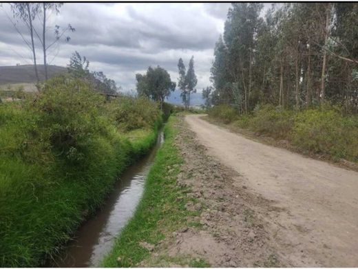 Land in Cayambe, Cantón Cayambe