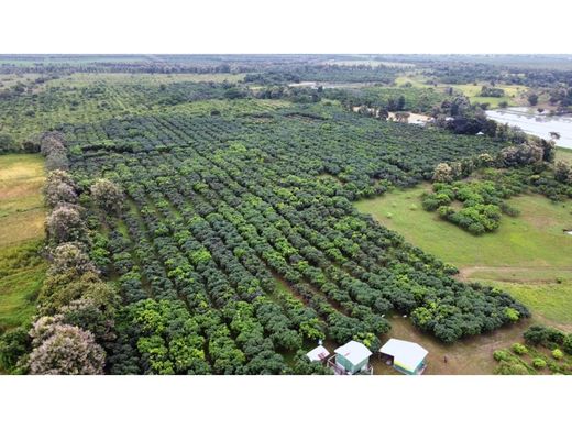 Palestina, Provincia del Guayasのカントリー風またはファームハウス