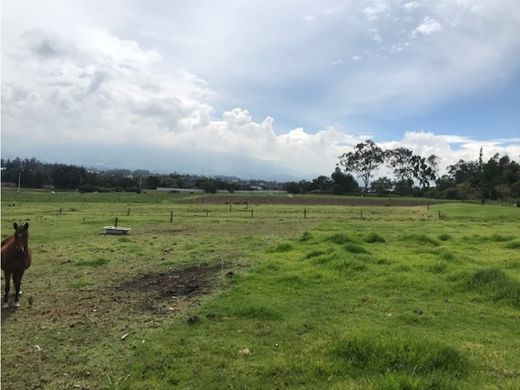Grond in Puembo, Provincia de Pichincha