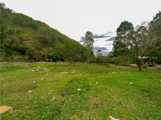 Terreno en Vilcabamba, Cantón Loja