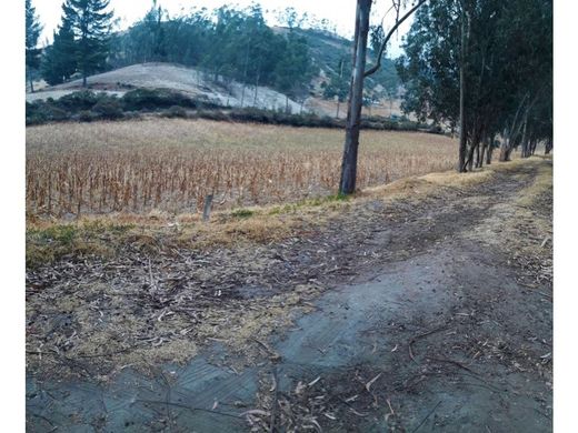 Teren w Quito, Cantón Quito