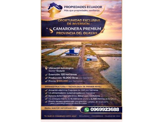 Land in Guayaquil, Cantón Guayaquil