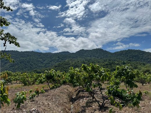 Terrain à Naranjal, Cantón Naranjal