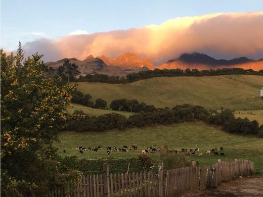Boerderij in Machachi, Cantón Mejía