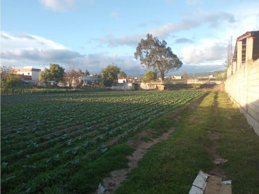 Terreno - Ambato, Cantón Ambato