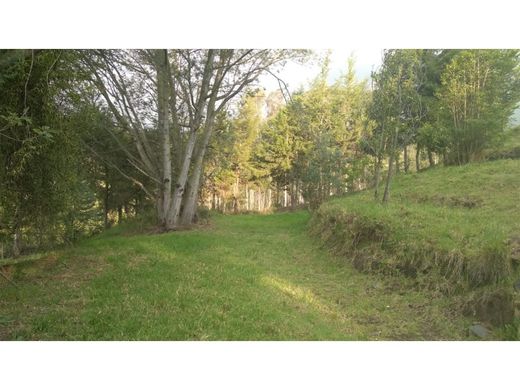 Αγροτεμάχιο σε Κίτο, Cantón Quito