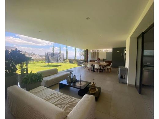 Luxus-Haus in Quito, Cantón Quito