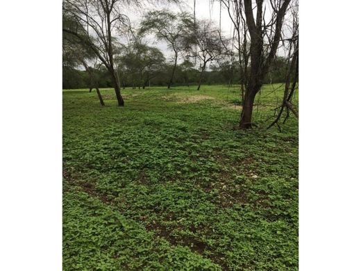 Boerderij in Santa Elena, Cantón Santa Elena