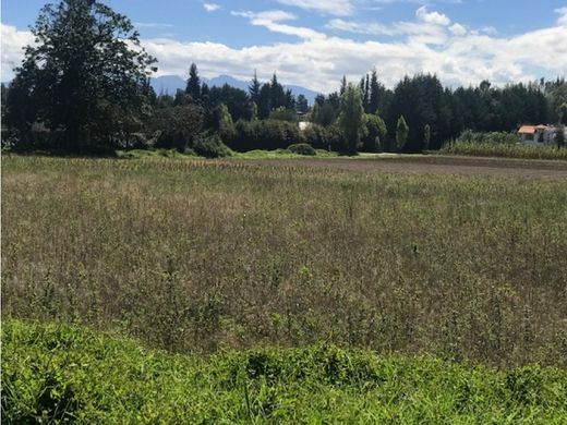 Grond in Puembo, Provincia de Pichincha