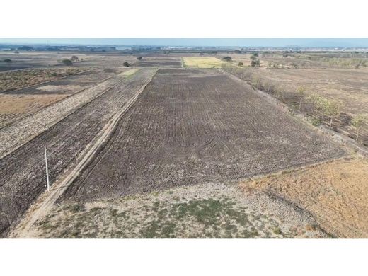 Land in Guayaquil, Cantón Guayaquil