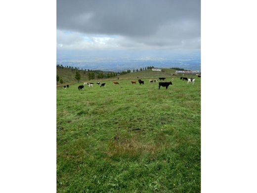 Ferme à Latacunga, Cantón Latacunga