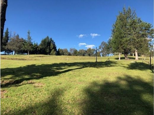 Arsa Checa, Cantón Quito