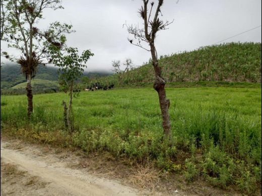 Boerderij in Quito, Cantón Quito
