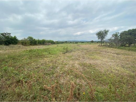 토지 / Guayaquil, Cantón Guayaquil