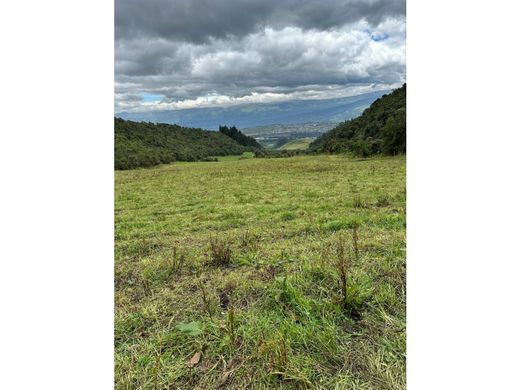 Boerderij in Quito, Cantón Quito