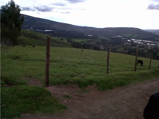 Gutshaus oder Landhaus in Cayambe, Cantón Cayambe
