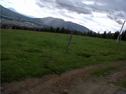 Terrain à Cayambe, Cantón Cayambe