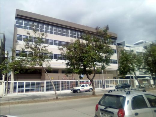 مكتب ﻓﻲ غواياكيل, Cantón Guayaquil