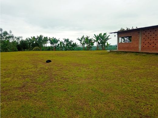 Propriété de campagne à Valencia, Cantón Valencia