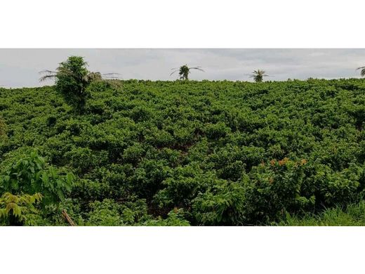 Cortijo o casa de campo en Quininde, Cantón Quinindé