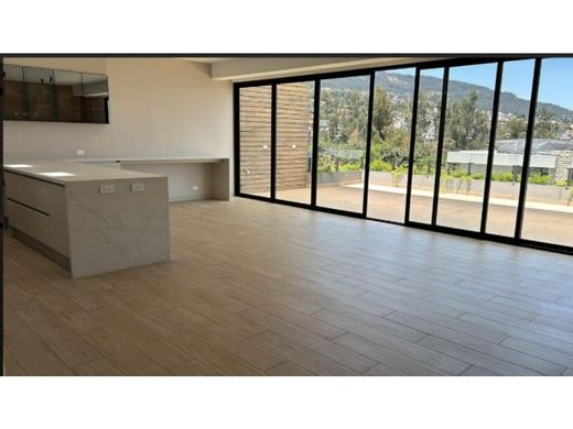 ‏דירה ב  קיטו, Cantón Quito