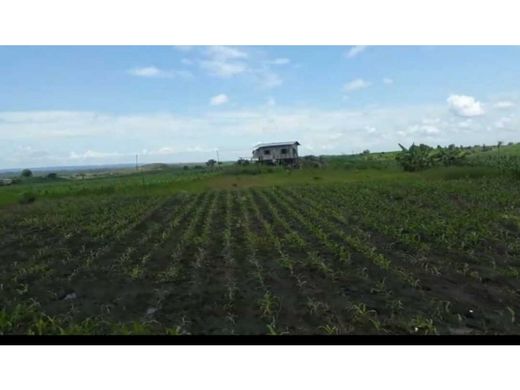 Rustico o casale a Pedro Carbo, Provincia del Guayas