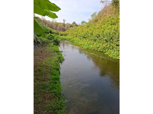 Teren w Guayas, Cantón El Empalme