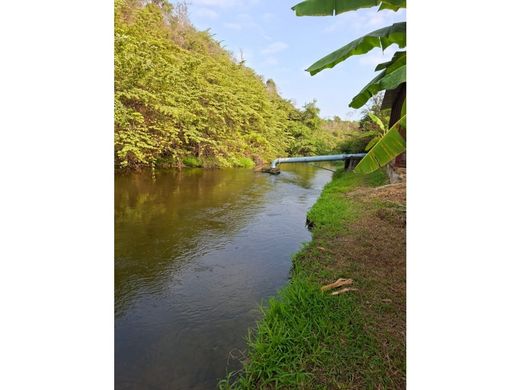 Land in Guayas, Cantón El Empalme