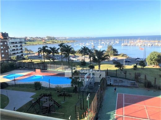 Apartment in Montevideo, Municipio B