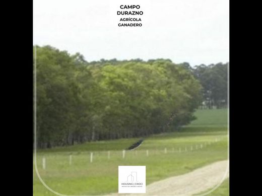 Landhaus / Bauernhof in María Cejas, Departamento de Durazno