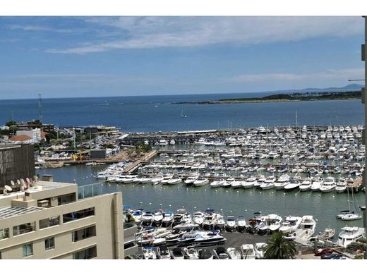 套间/公寓  Punta del Este, Punta Del Este