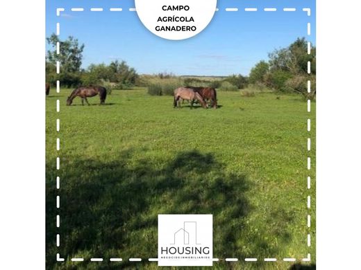 Landhaus / Bauernhof in Durazno, Departamento de Durazno