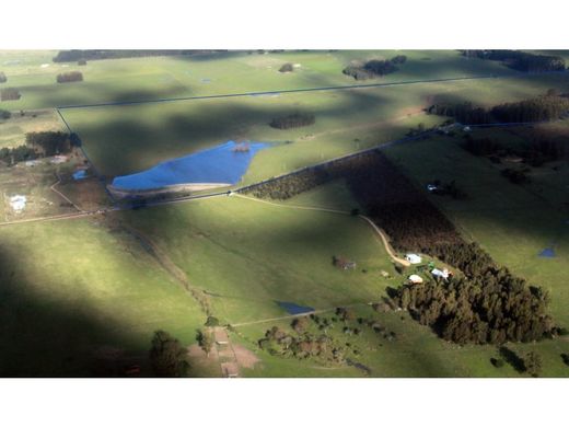 Barra de Maldonado, San Carlosのカントリー風またはファームハウス