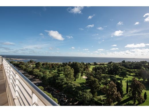 Piso / Apartamento en Punta Carretas, Municipio Ch