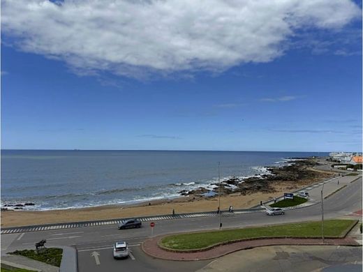 Piso / Apartamento en Punta del Este, Punta Del Este