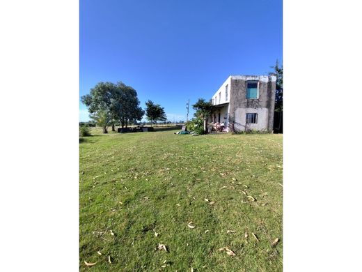 Rural or Farmhouse in San Carlos, Maldonado