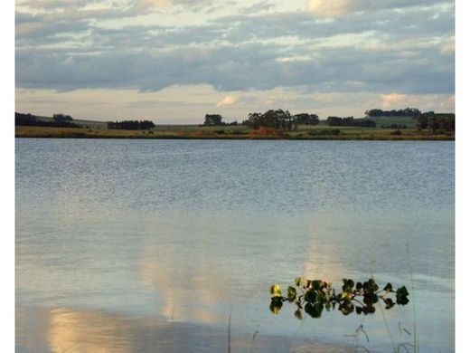 Punta del Este, Punta Del Esteのカントリー風またはファームハウス