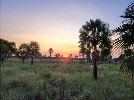 Ferme à Benjamín Aceval, Benjamin Aceval