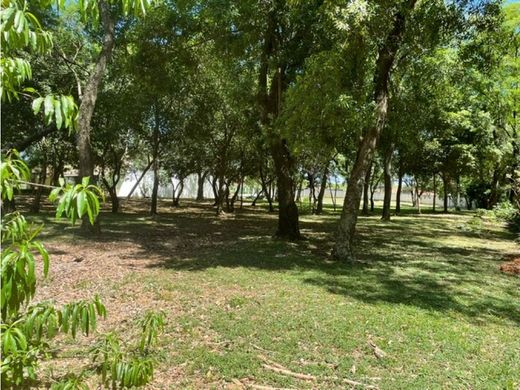 Terreno a Luque, Departamento Central